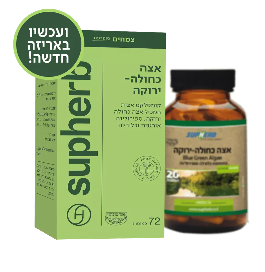 סופהרב אצה כחולה-ירוקה SUPHERB