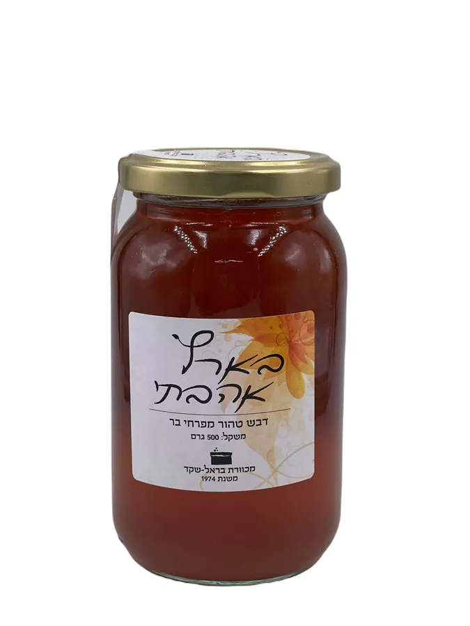 דבש 